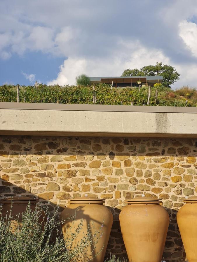 Poggio Cagnano Bed & Breakfast Manciano Exterior photo
